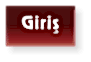 Giriş