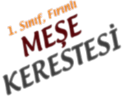 1. Sınıf, Fırınlı MEŞE KERESTESİ